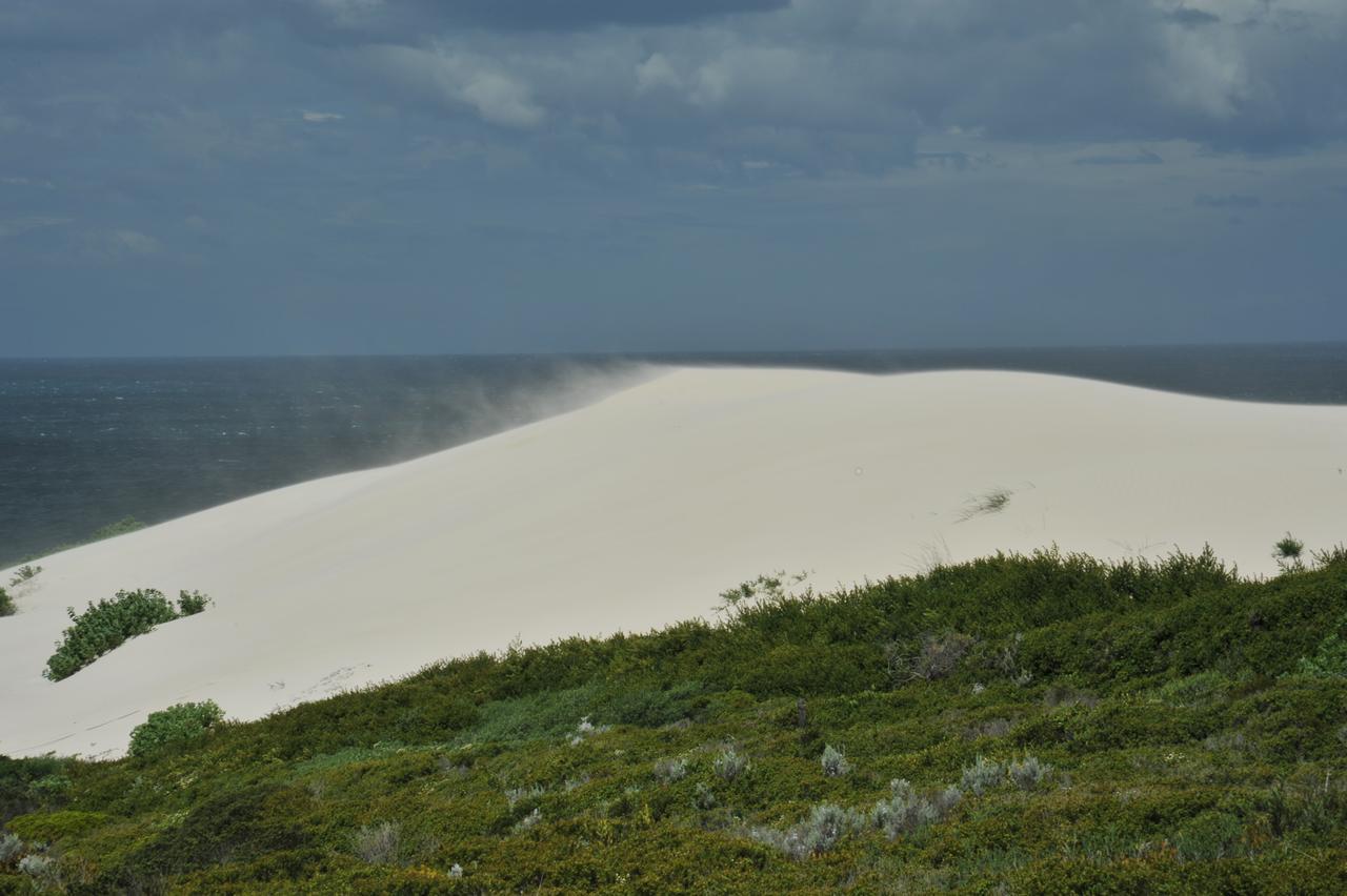 De Hoop Collection Suites De Hoop Nature Reserve Buitenkant foto