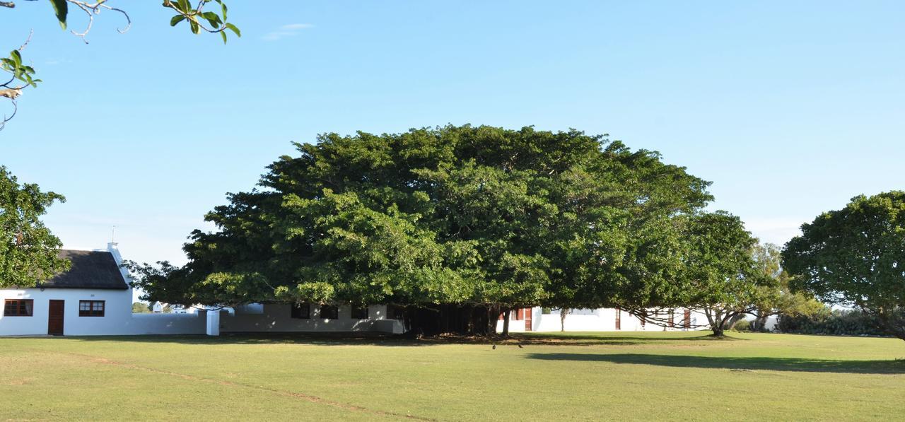De Hoop Collection Suites De Hoop Nature Reserve Buitenkant foto