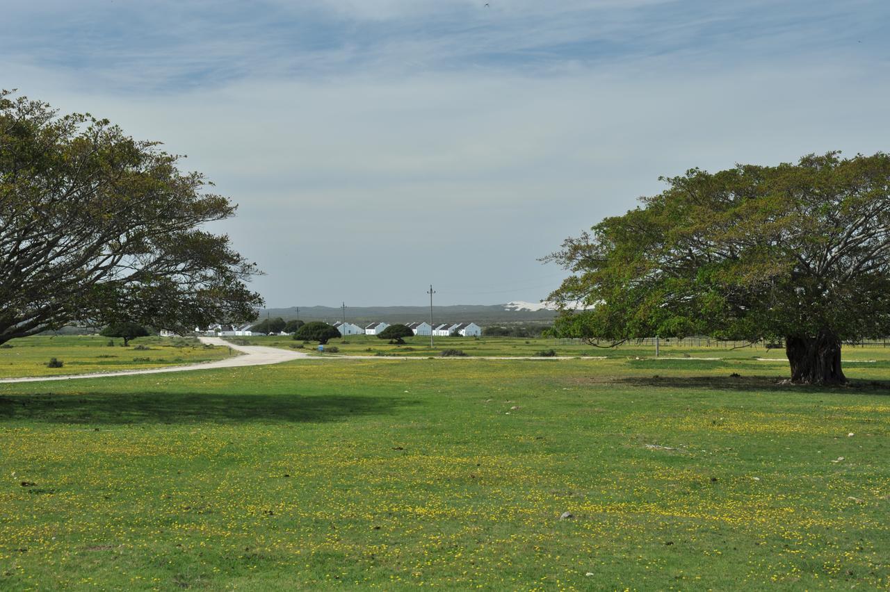 De Hoop Collection Suites De Hoop Nature Reserve Buitenkant foto