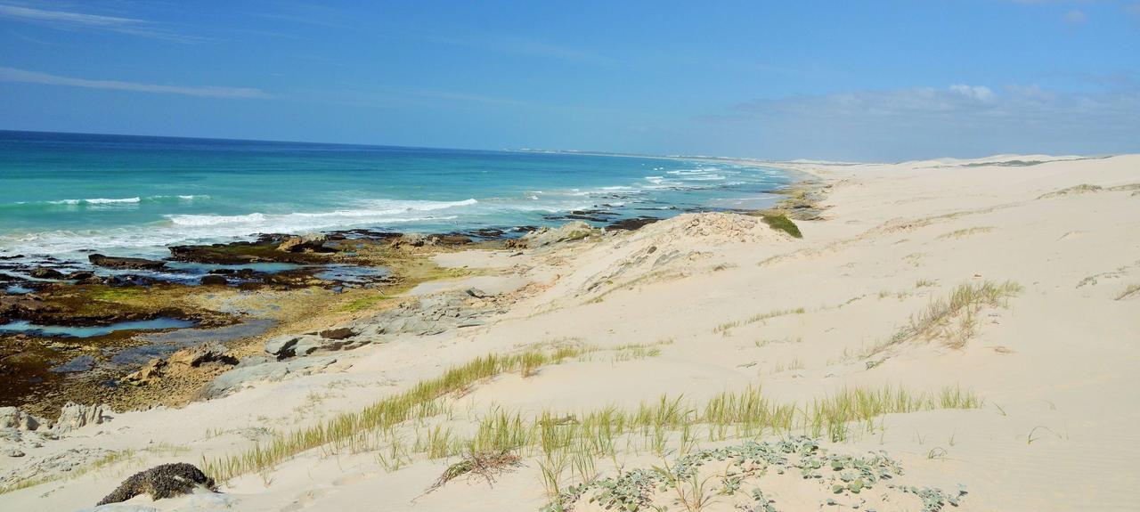De Hoop Collection Suites De Hoop Nature Reserve Buitenkant foto