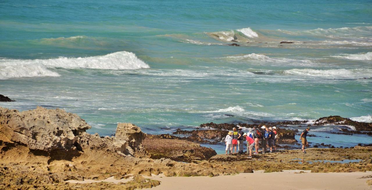 De Hoop Collection Suites De Hoop Nature Reserve Buitenkant foto
