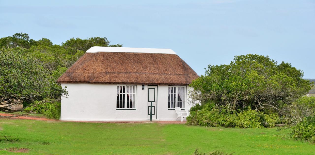 De Hoop Collection Suites De Hoop Nature Reserve Buitenkant foto