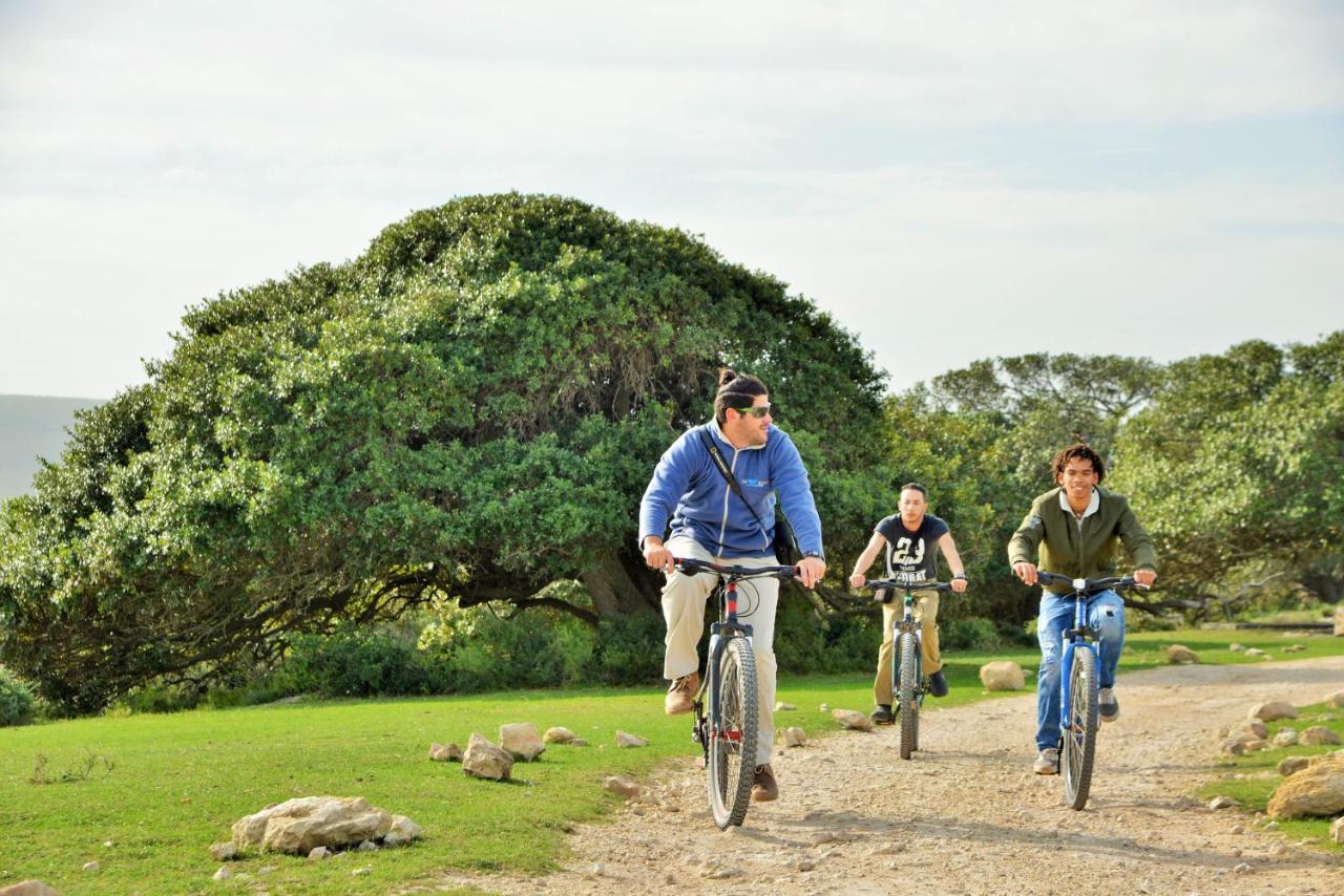 De Hoop Collection Suites De Hoop Nature Reserve Buitenkant foto